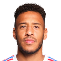 C. Tolisso